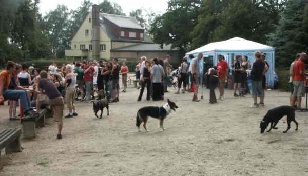 vf03257.jpg (19527 Byte)